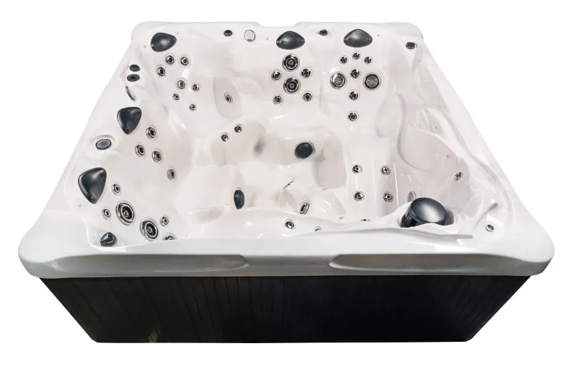 Dr. Wellness G-9 Spa w/Bluetooth Water Resistant Audio - Image 2