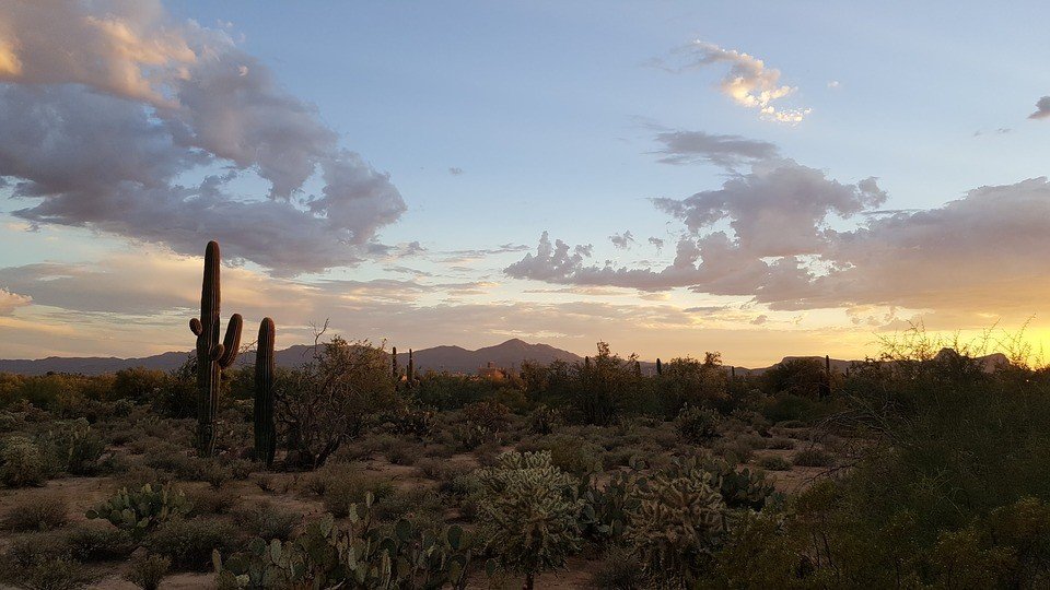 arizona