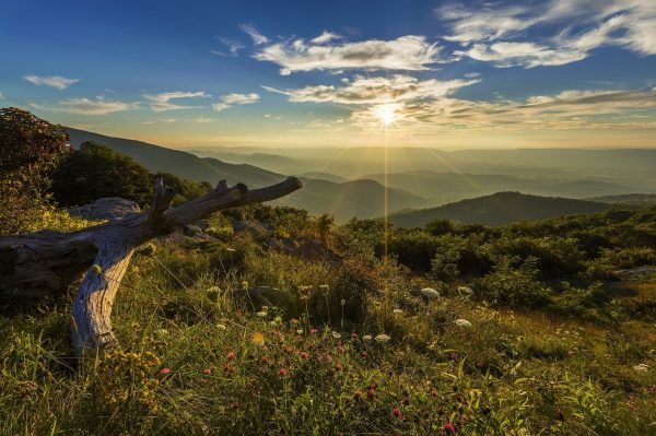 VA Virginia Hot Tubs
