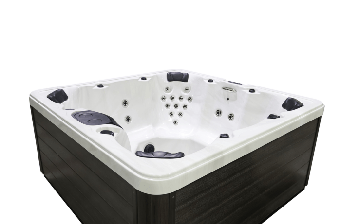 Plug & Power PP42 Spa - Image 2